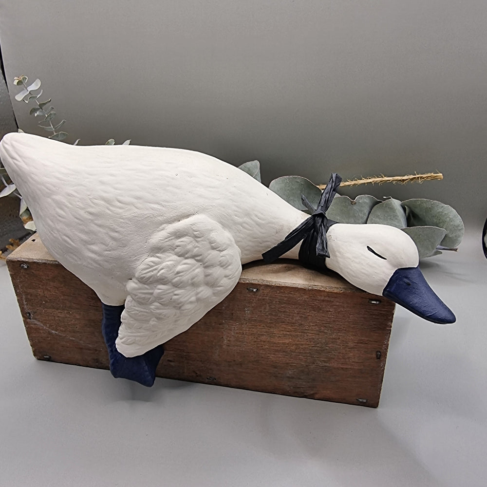 Cute blue and white shelf duck
