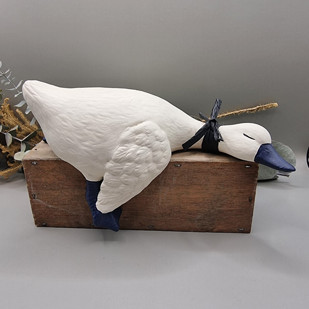 Cute blue and white shelf duck