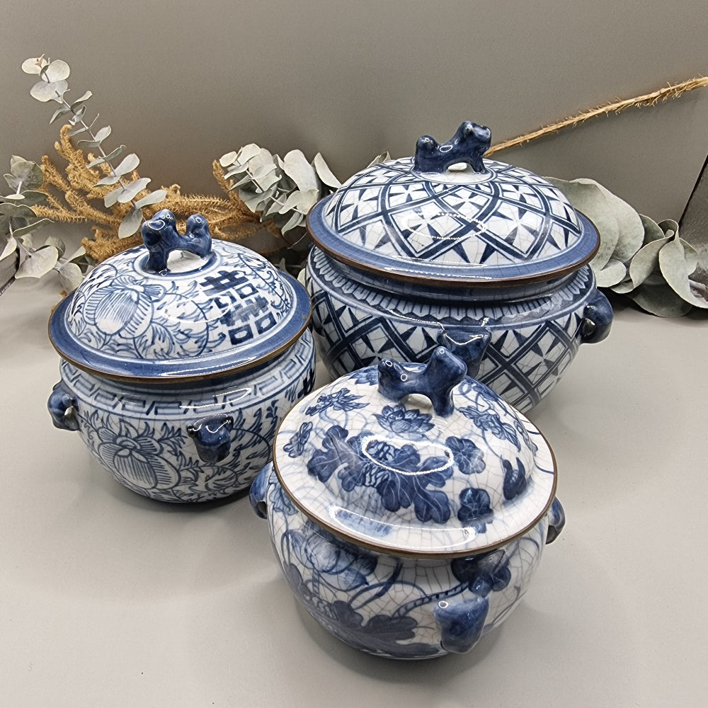 Chinese porcelain ceramic Ginger jar set