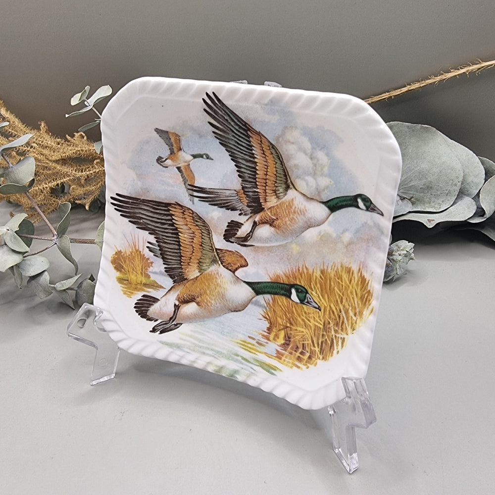 Royal Adderley ceramic plate with flying geese illustration, made in England.