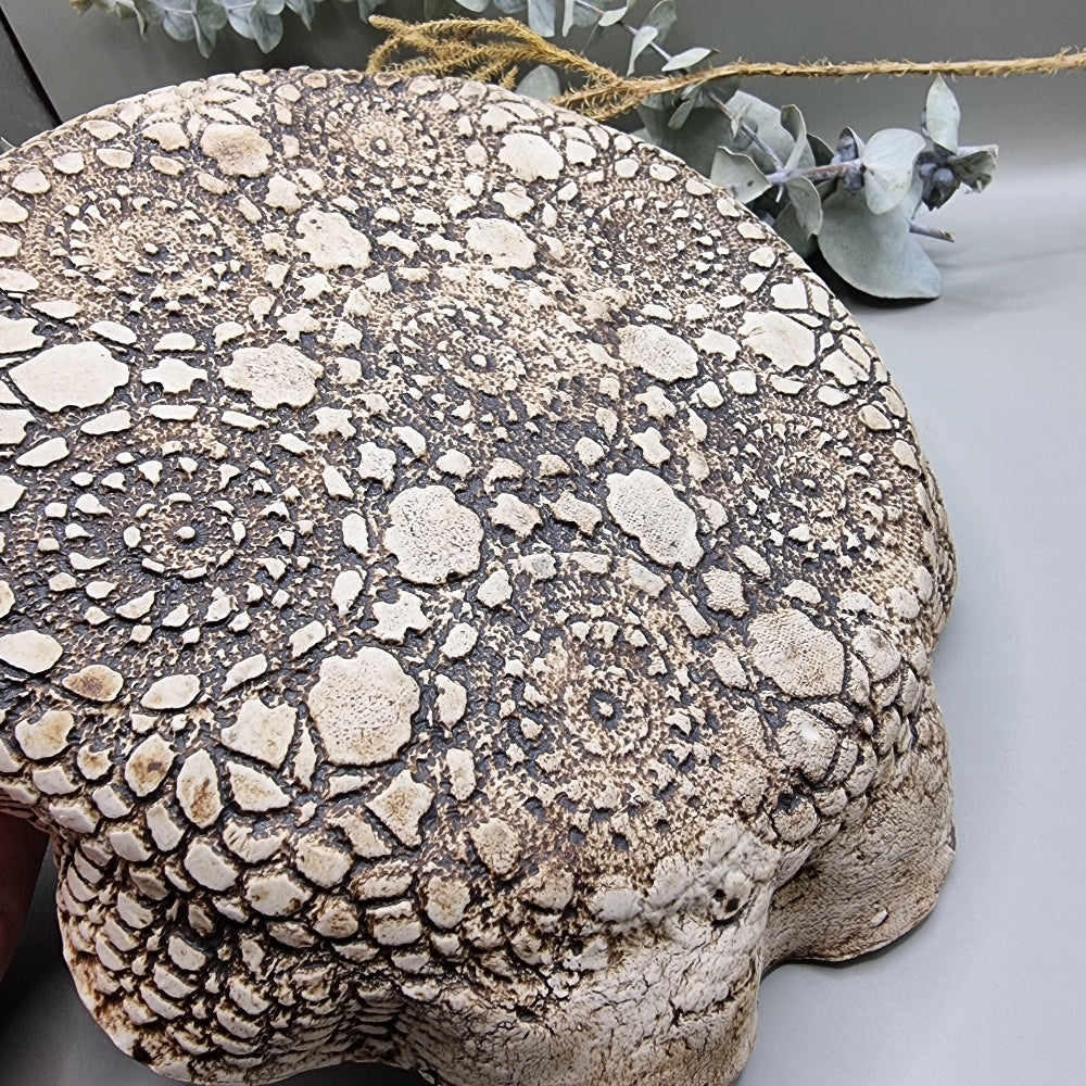 One-piece ceramic dip platter with ruffled edge and built-in bowl, sea-toned glaze and textured base.