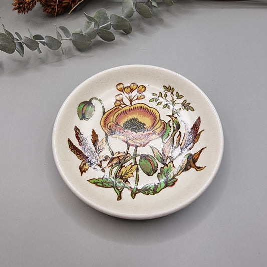 Vintage Palissy Royal Worcester plate