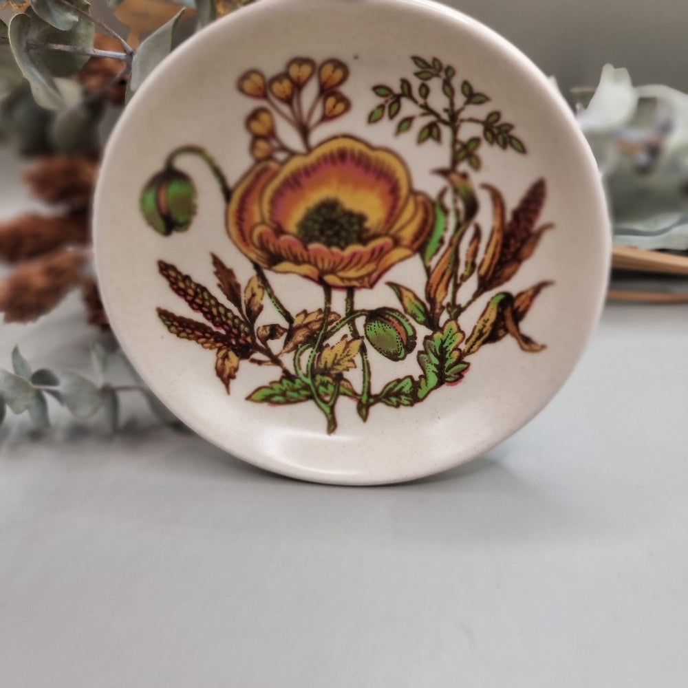 Vintage Palissy Royal Worcester plate