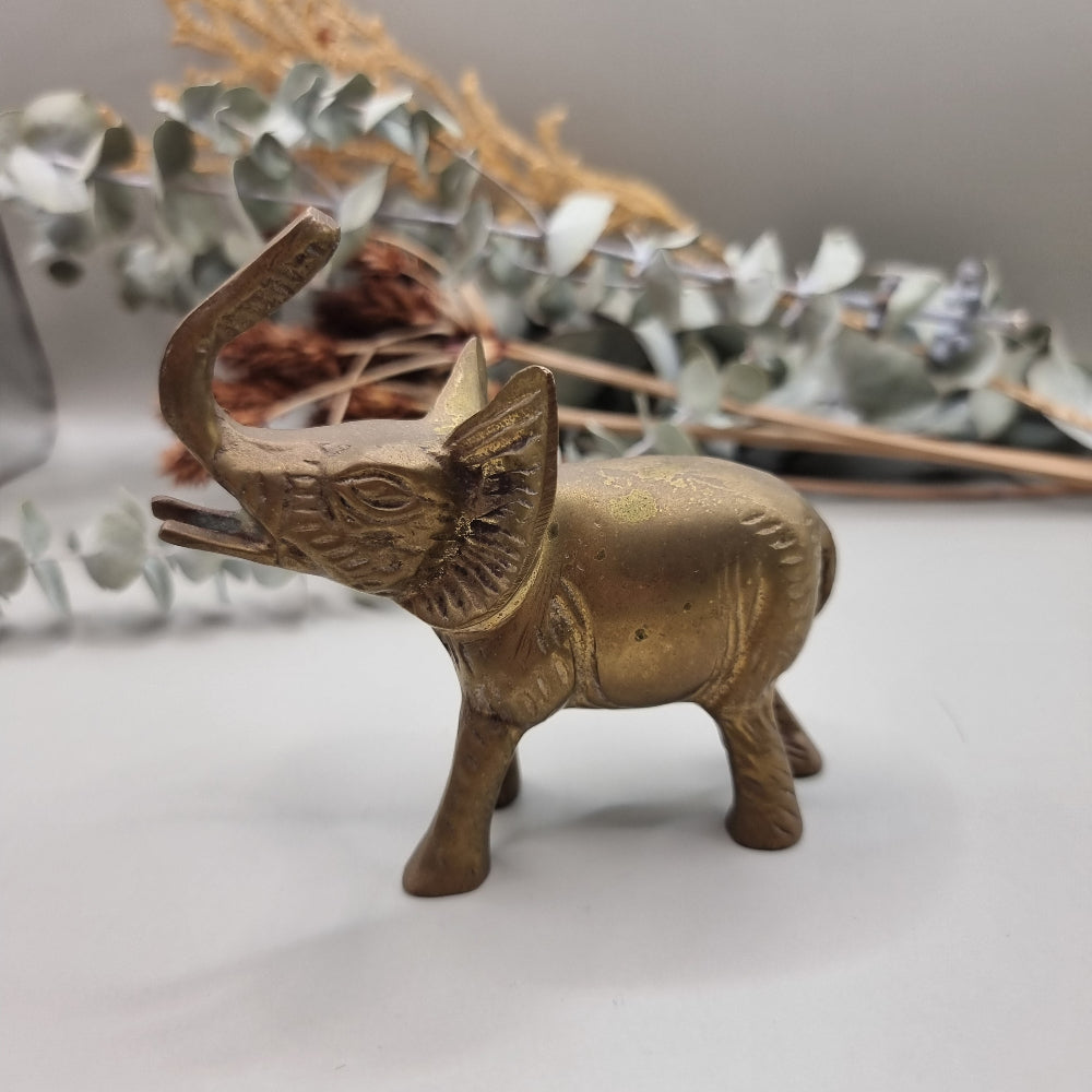 Sweet brass elephant