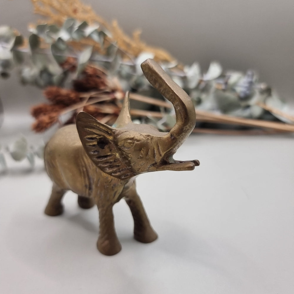 Sweet brass elephant