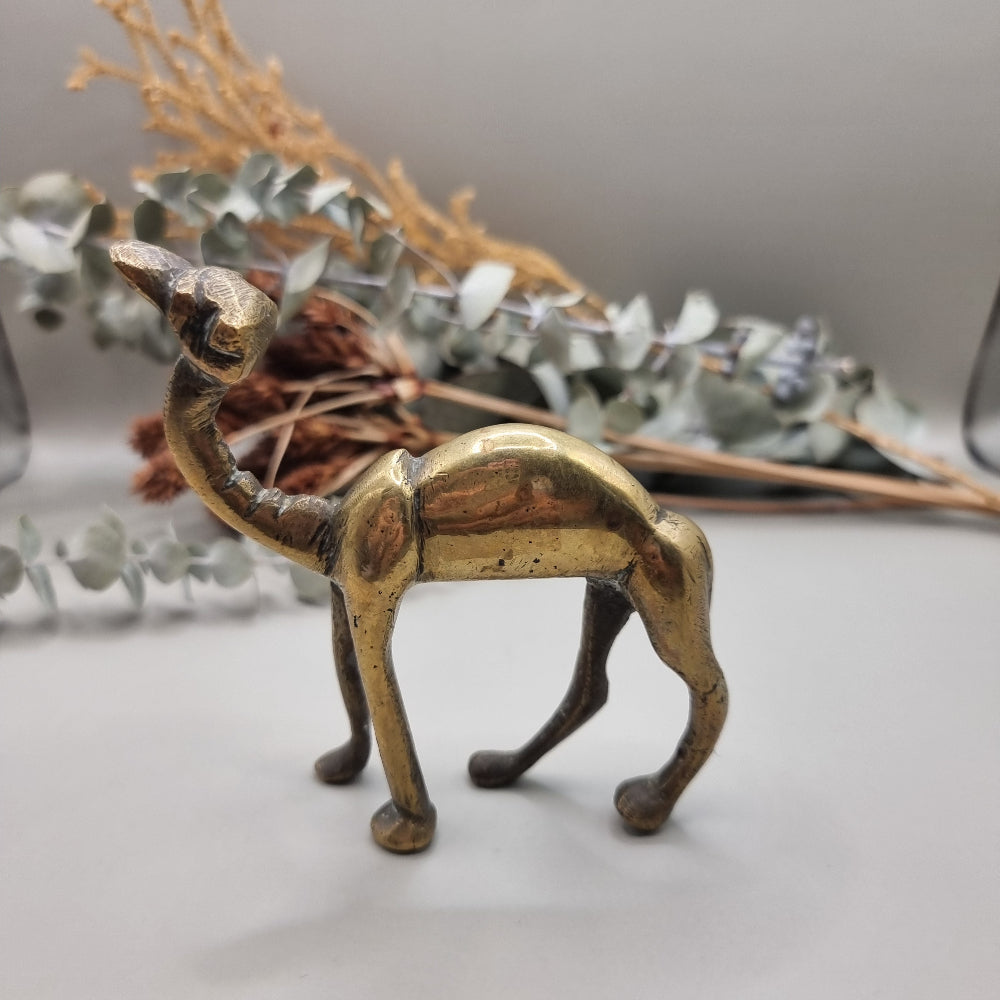 Quirky wee brass camel