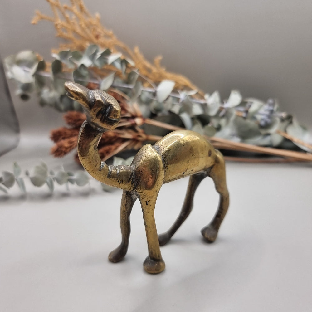 Quirky wee brass camel