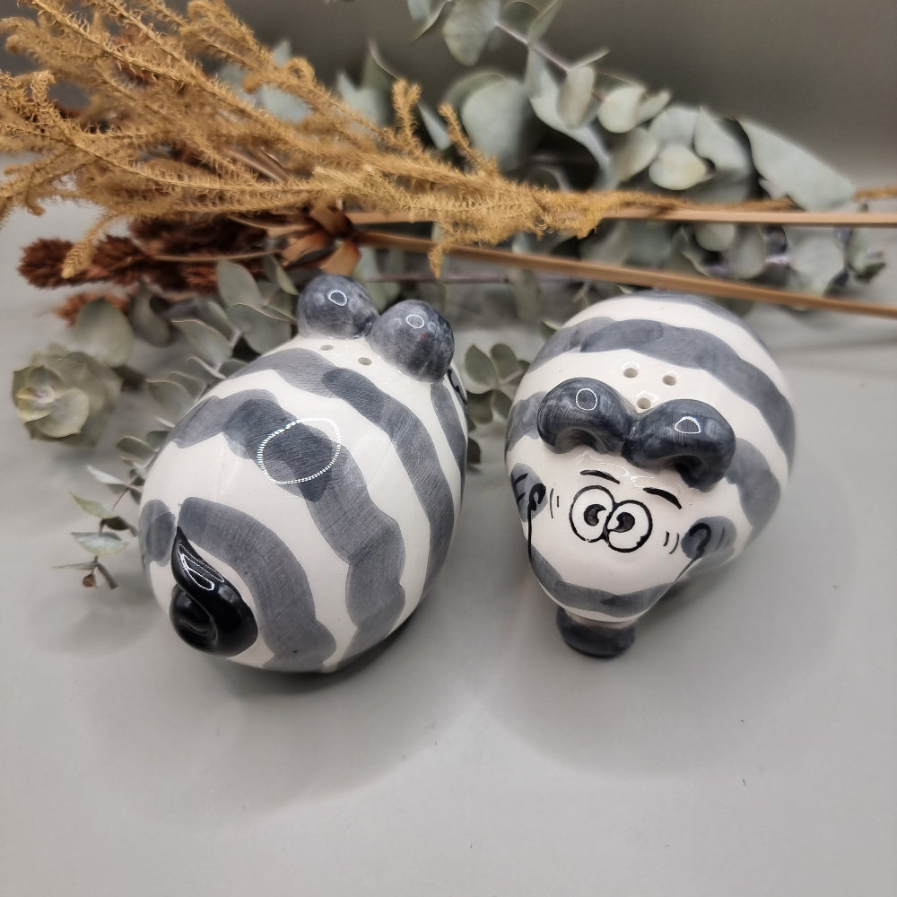 Charming cartoon style elephant salt and pepper shakers