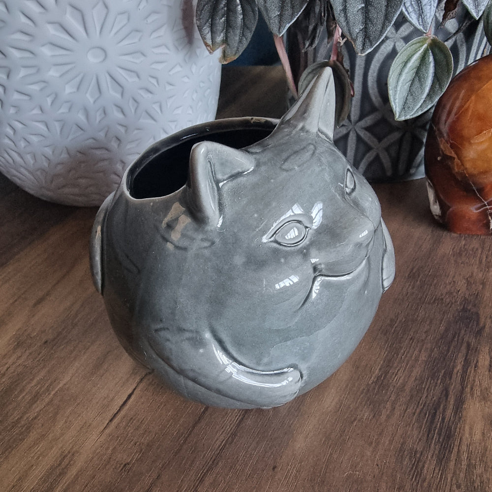 Glossy grey ceramic lucky cat vase with open top and chubby shape