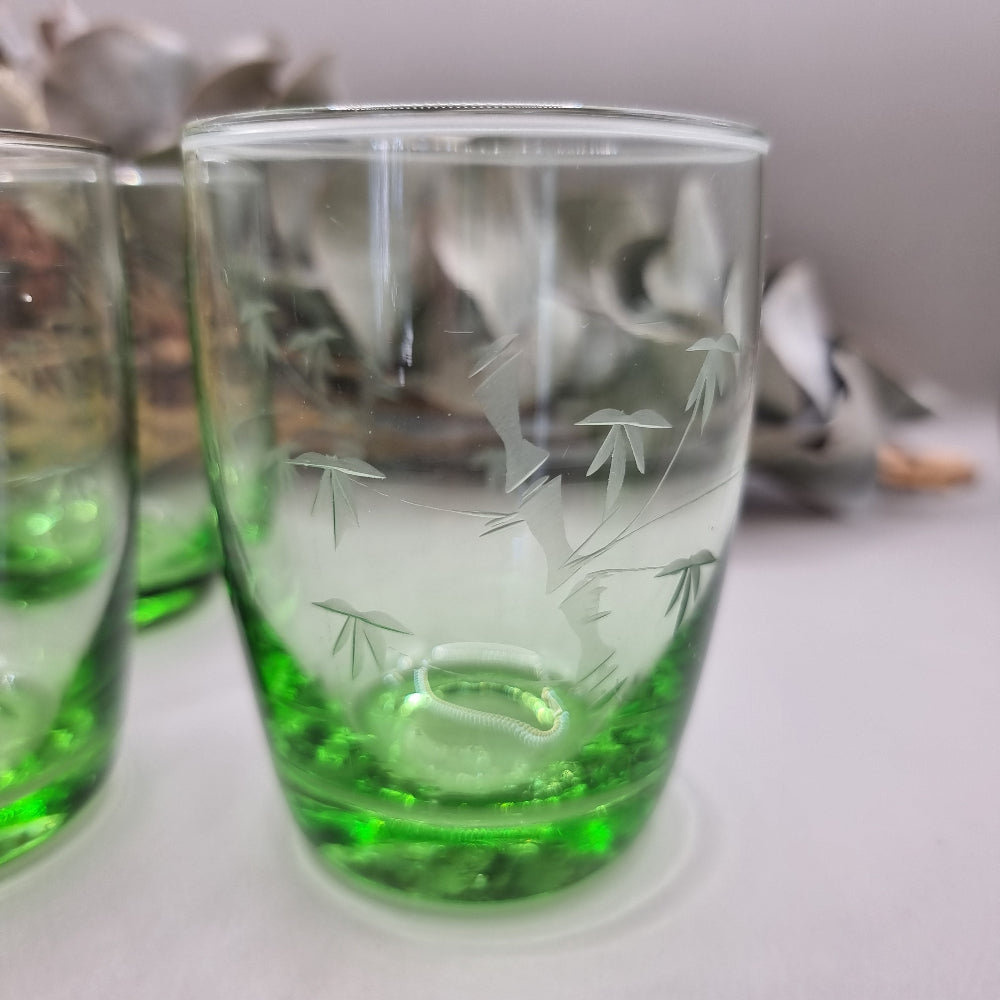 Set of 4 green etched tumblers with bamboo design.