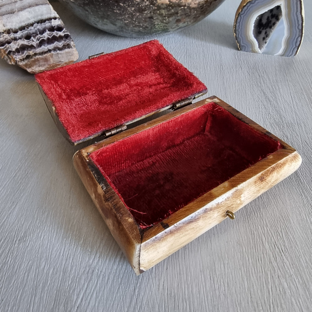 Bone and brass trinket box with red velvet lining and owl clasp.