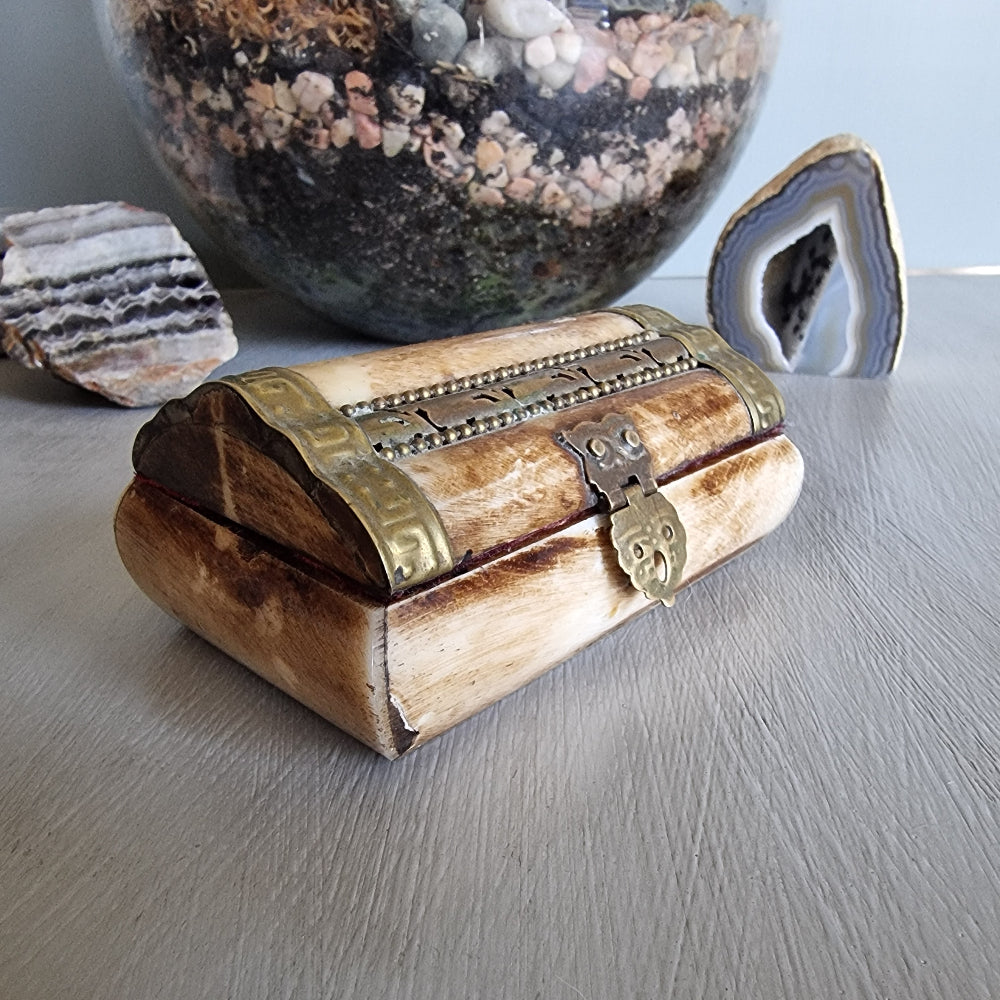 Bone and brass trinket box with red velvet lining and owl clasp.