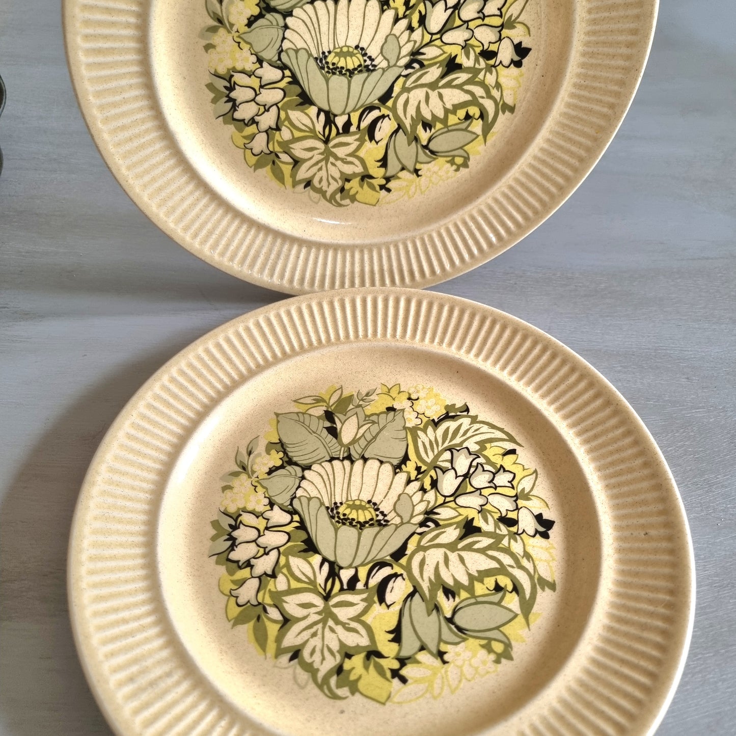 Genuine Ironstone NZ floral plates – vintage botanical pair