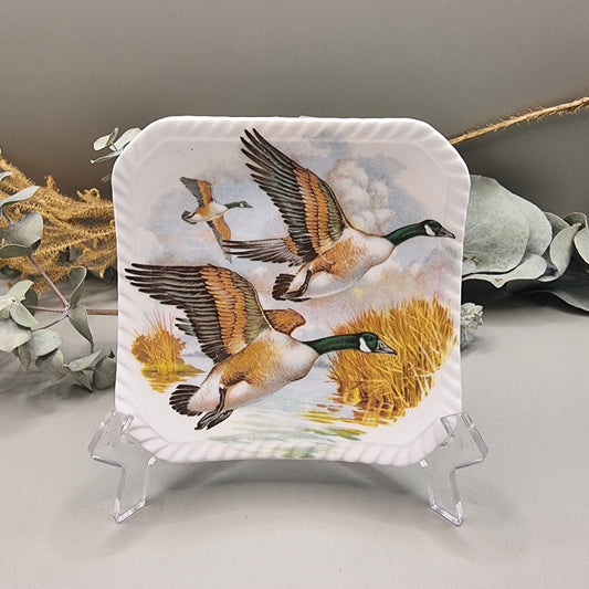Royal Adderley ceramic plate with flying geese illustration, made in England.