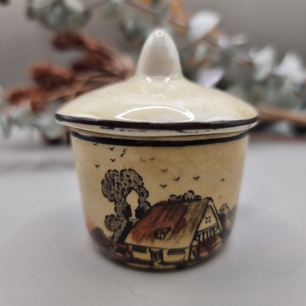 Burslem Countryside Pottery lidded pot with spoon