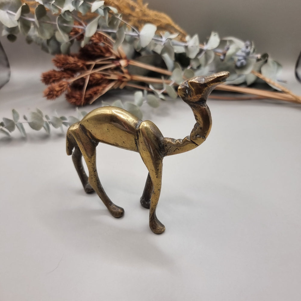 Quirky wee brass camel