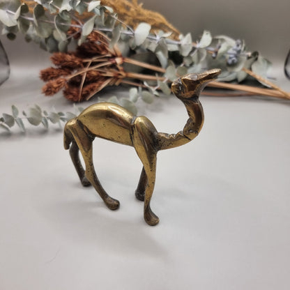 Quirky wee brass camel