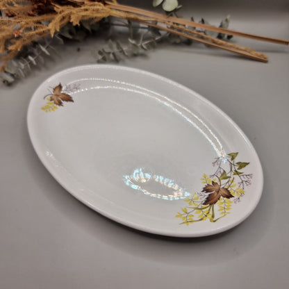 Crown Lynn Autumn Splendour oval plate with autumn leaf design.