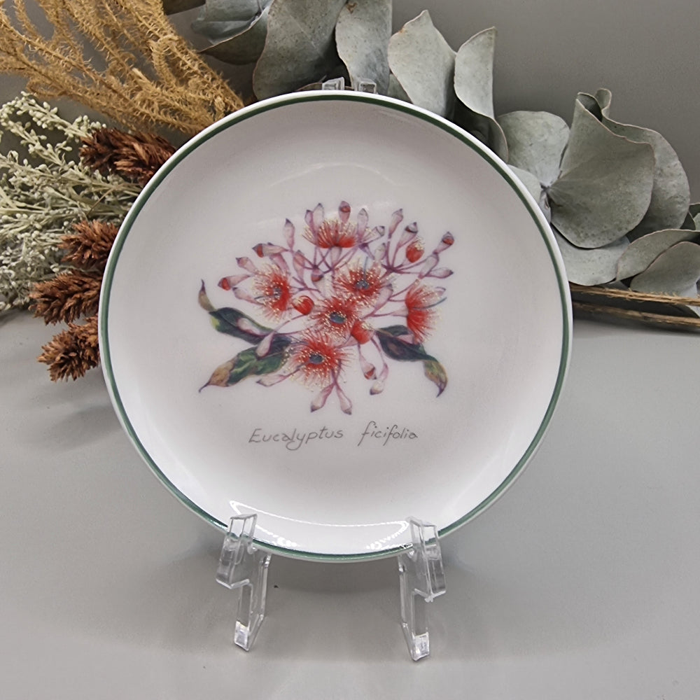 Collector plate with eucalyptus ficifolia flower illustration and green rim