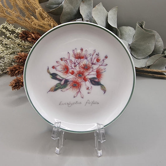 Collector plate with eucalyptus ficifolia flower illustration and green rim