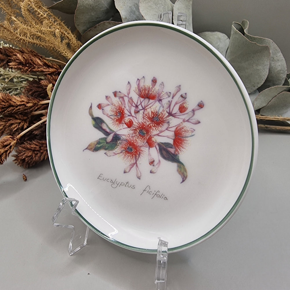 Collector plate with eucalyptus ficifolia flower illustration and green rim