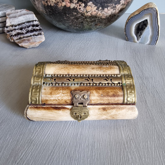 Bone and brass trinket box with red velvet lining and owl clasp.