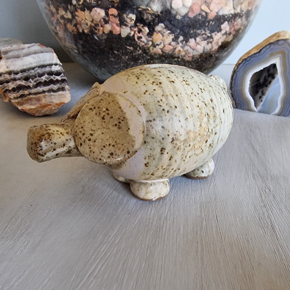 Handmade ceramic pig money box with speckled glaze and coin slot on its back.
