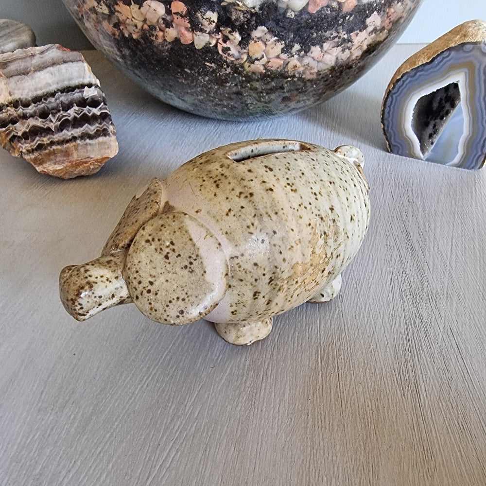 Handmade ceramic pig money box with speckled glaze and coin slot on its back.