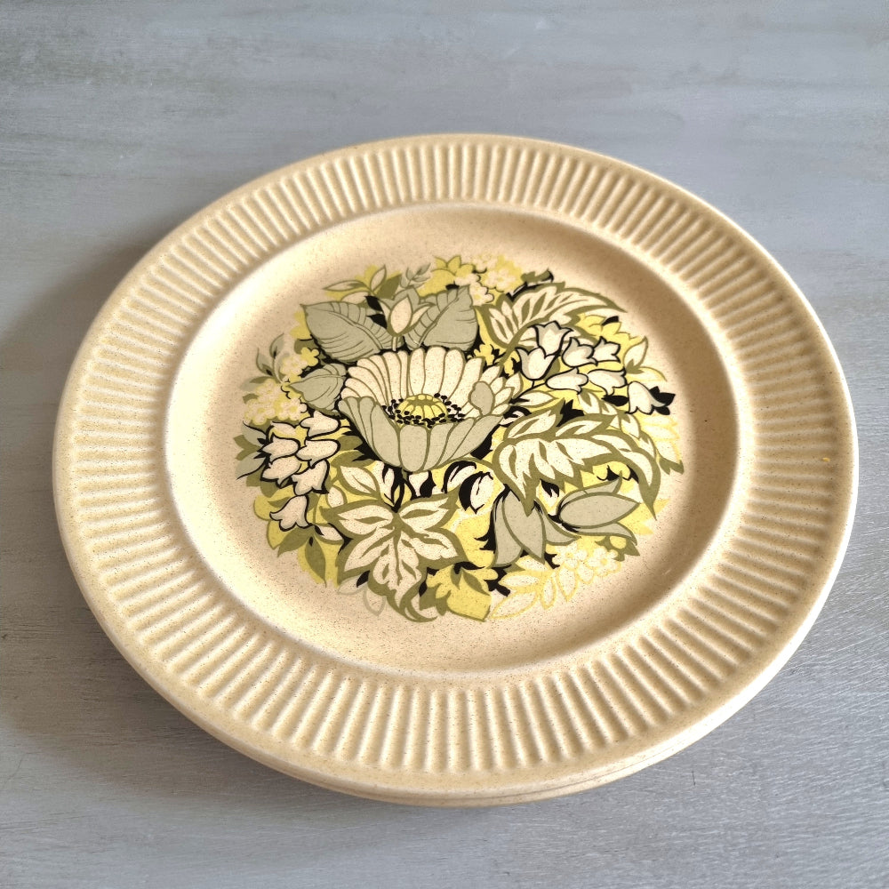 Pair of Genuine Ironstone NZ plates with ribbed rims and green-yellow floral centre design.
