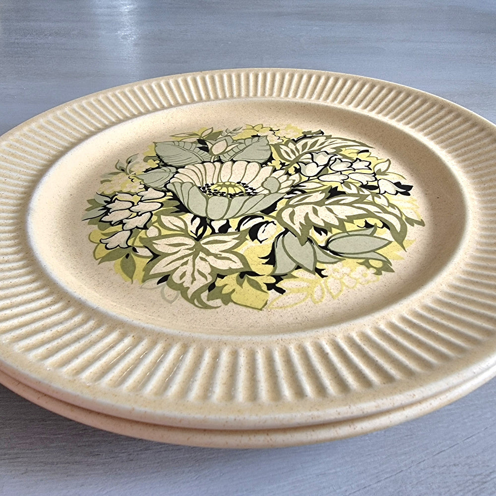 Pair of Genuine Ironstone NZ plates with ribbed rims and green-yellow floral centre design.