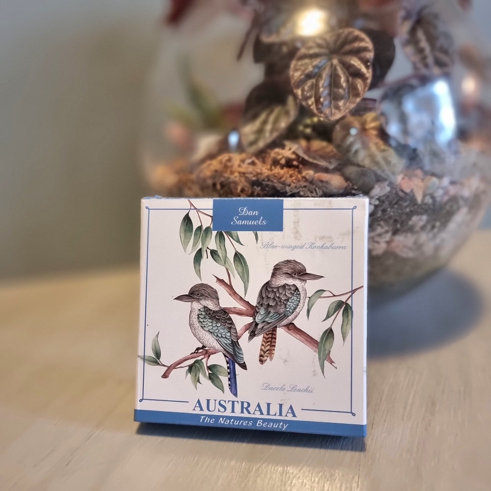 Dan Samuels Australia fine bone china dish with Blue-winged Kookaburra illustration, The Natures Beauty collection, in original box