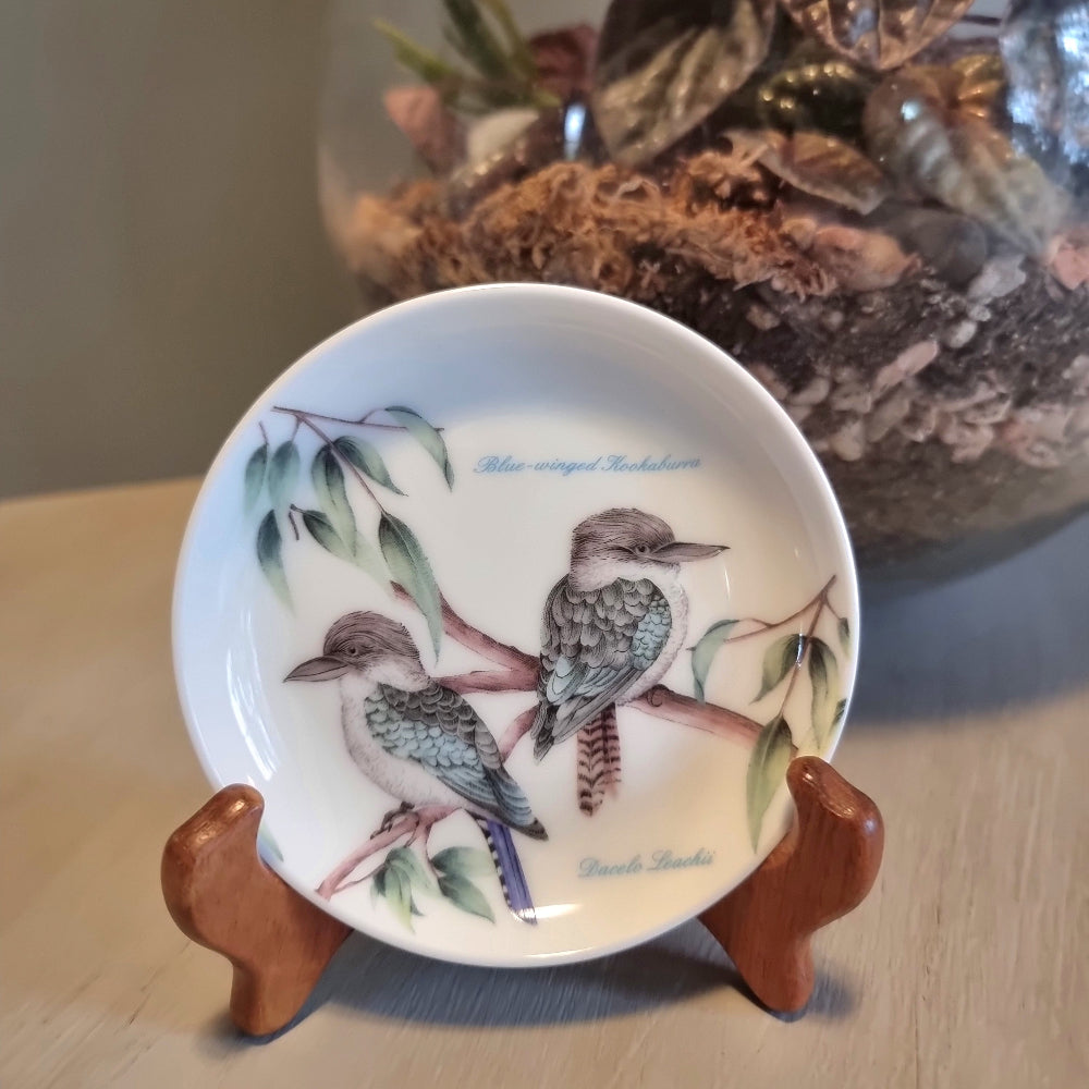 Dan Samuels Australia fine bone china dish with Blue-winged Kookaburra illustration, The Natures Beauty collection, in original box
