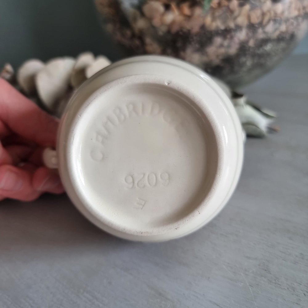Vintage Cambridge ceramic creamer jug with golden rose design