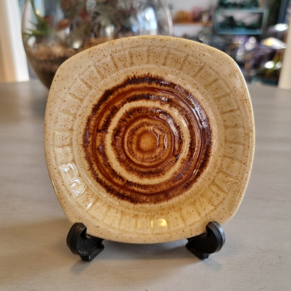 Palissy square edged dish with a concentric brown drip glaze design