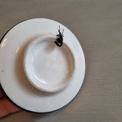 Small floral plate with a lattice edge design