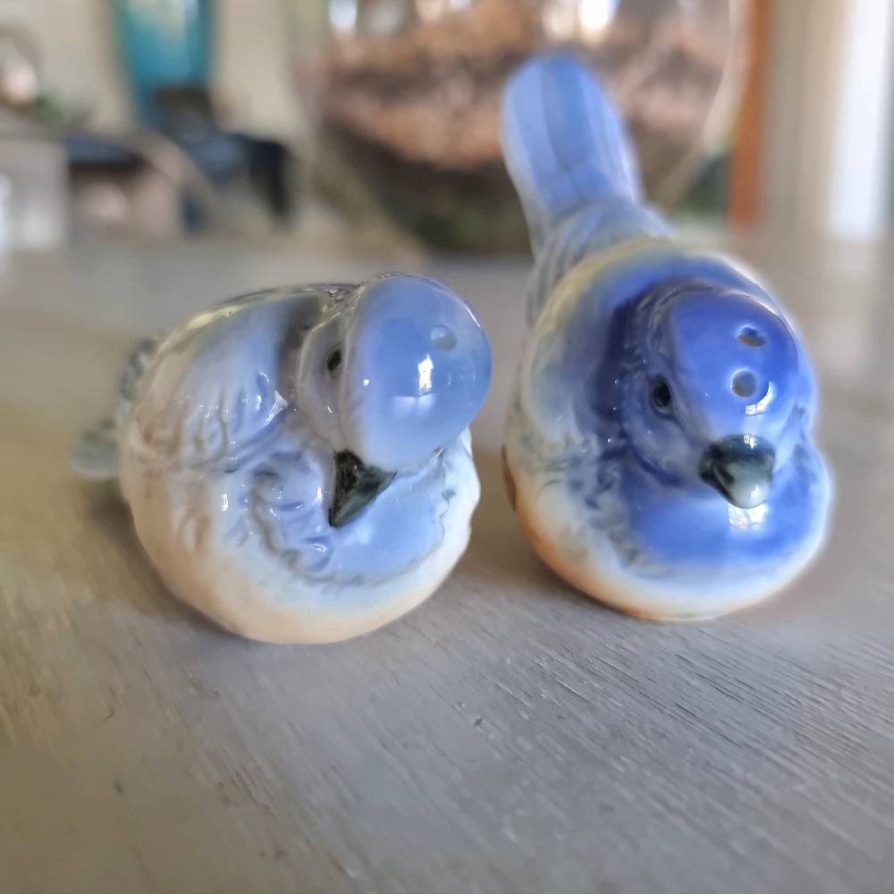 Ceramic bluebird salt and pepper shaker set