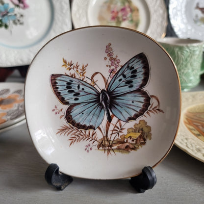 Vintage Weatherby Hanley Royal Falconware plate with a blue butterfly, brown grasses, a small cottage and a gold-toned rim