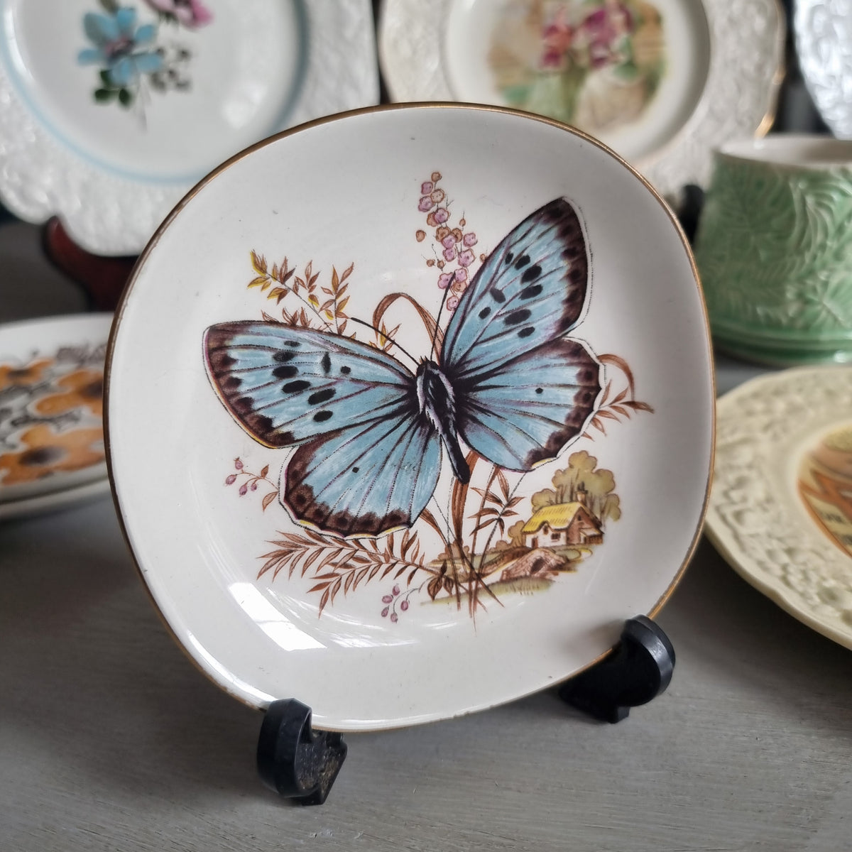 Vintage Weatherby Hanley Royal Falconware plate with a blue butterfly, brown grasses, a small cottage and a gold-toned rim
