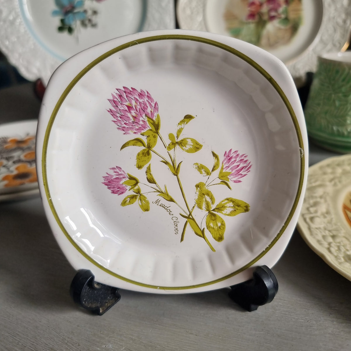 Vintage Palissy Meadow Clover plate with pink clover flowers, olive green leaves and an olive green rim line