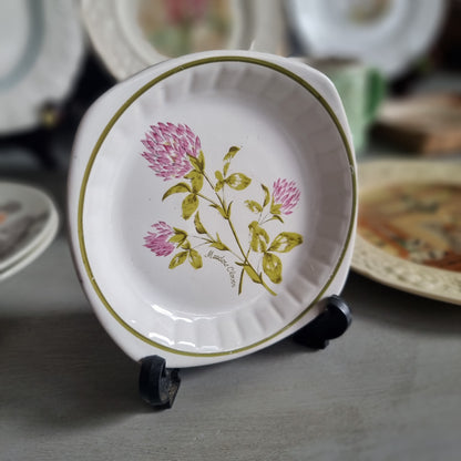 Vintage Palissy Meadow Clover plate with pink clover flowers, olive green leaves and an olive green rim line