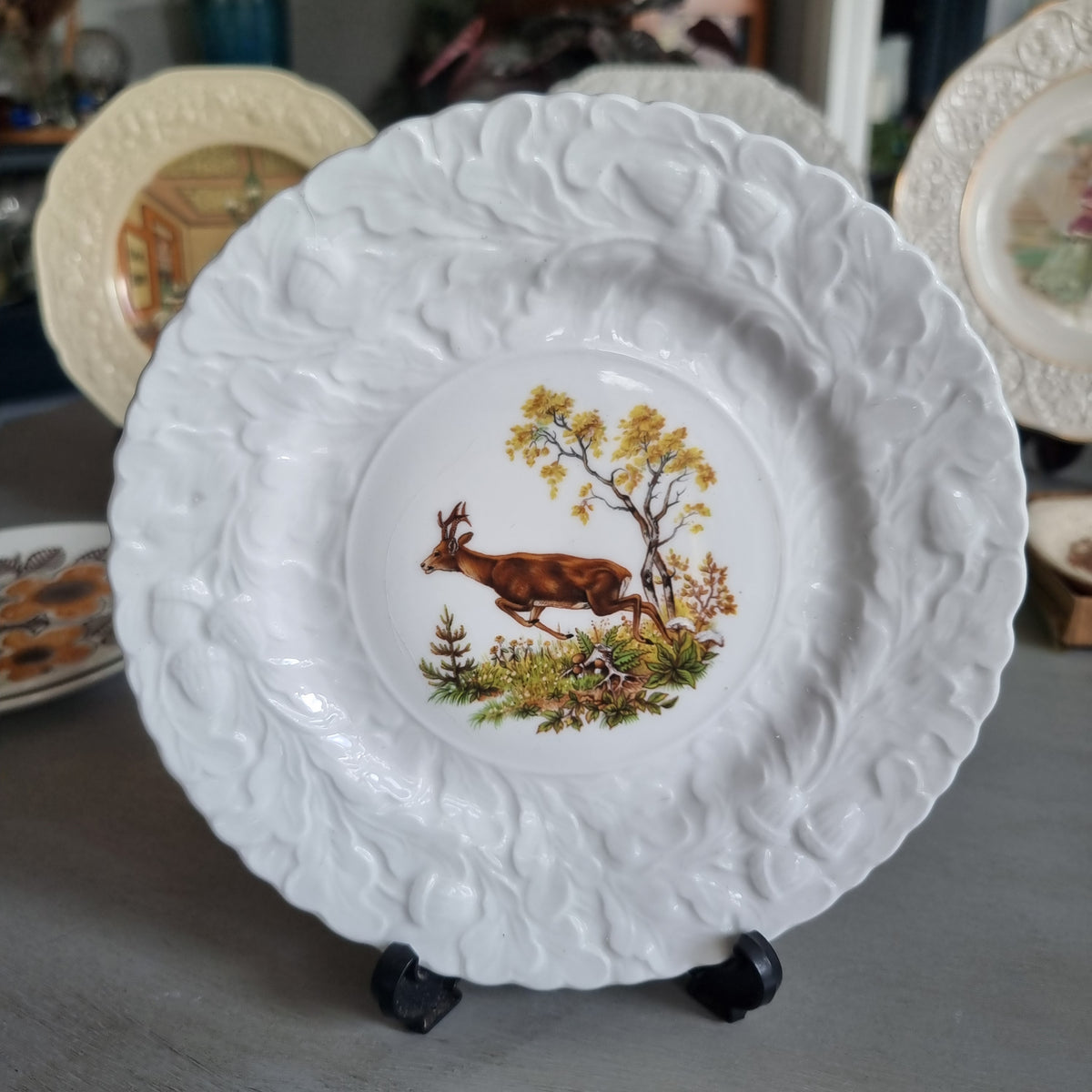 Vintage Queen's fine bone china plate with a leaping stag, golden tree and white embossed leaf border