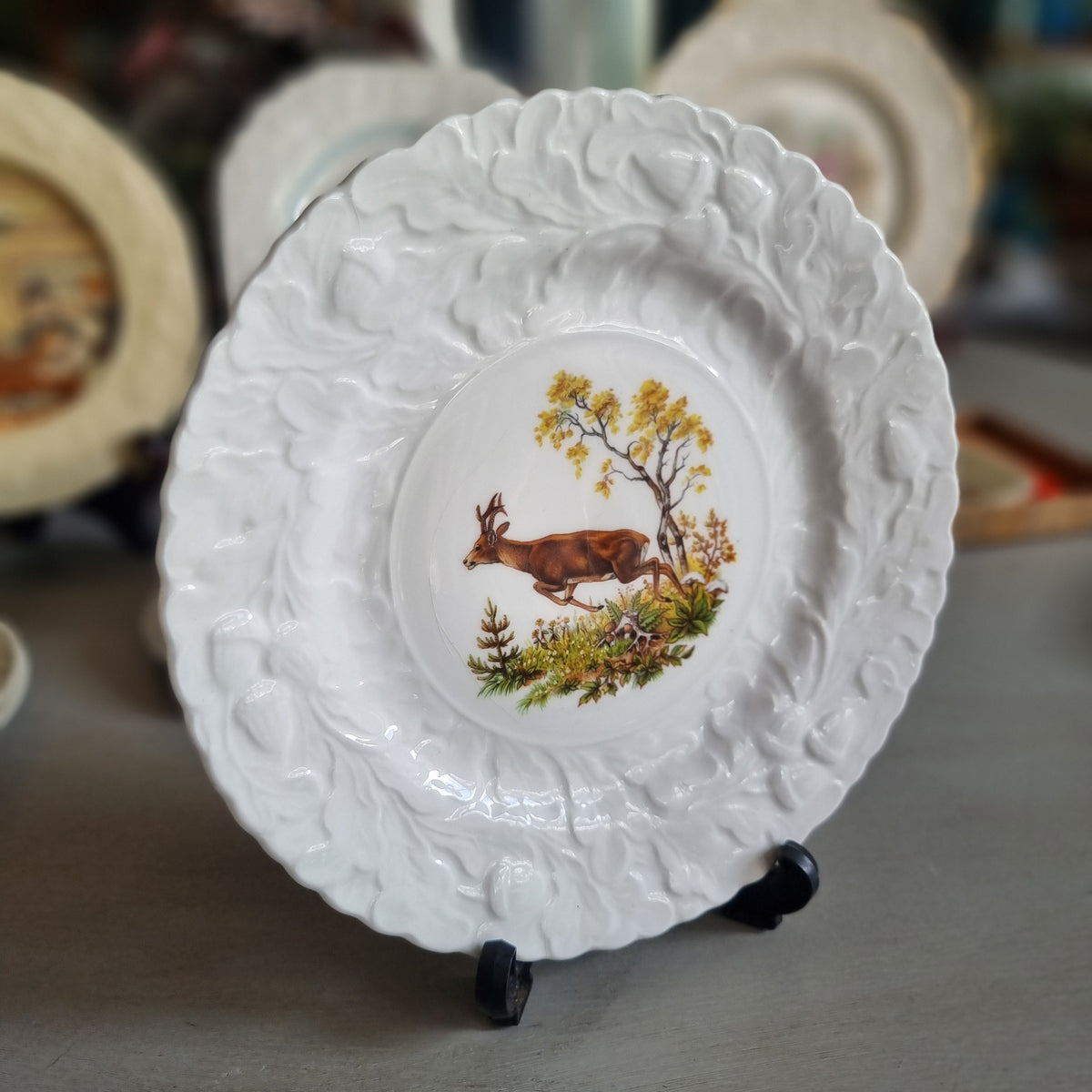 Vintage Queen's fine bone china plate with a leaping stag, golden tree and white embossed leaf border