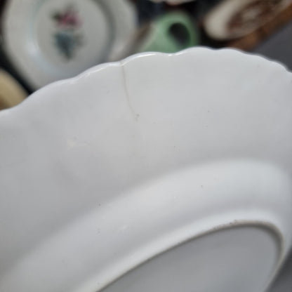 Vintage Queen's fine bone china plate with a leaping stag, golden tree and white embossed leaf border