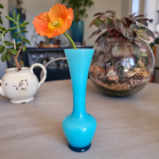 Vintage light blue cased glass bud vase holding an apricot Iceland poppy
