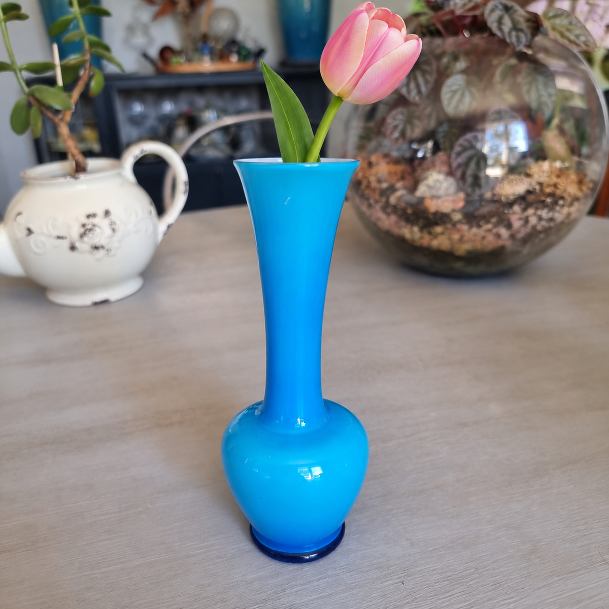Vintage bright blue cased glass bud vase holding a single pink tulip
