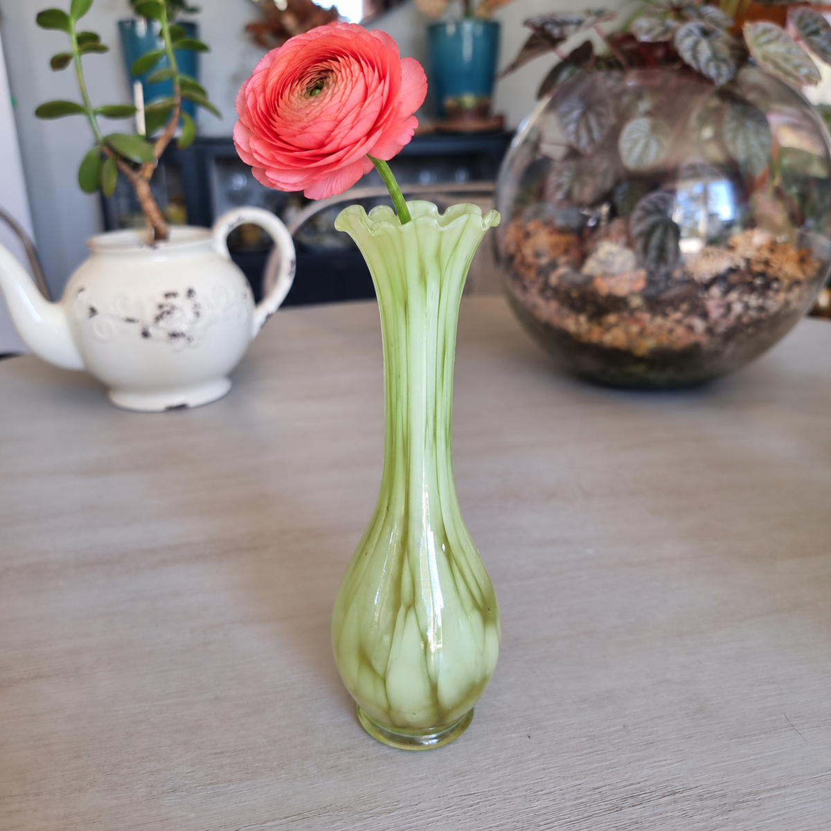 Retro pale green marbled glass vase with a ruffled rim holding a coral ranunculus