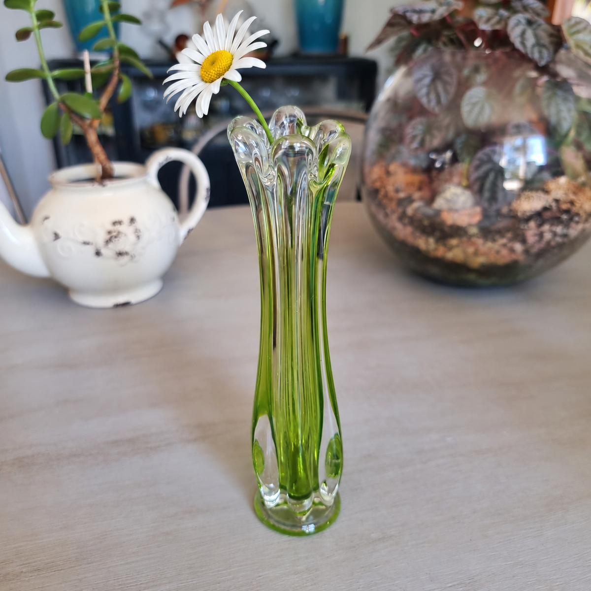 Vintage lime green and clear swung glass vase holding a single white daisy