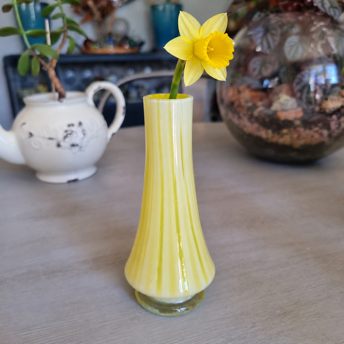 Vintage yellow and white striped glass bud vase holding a single yellow daffodil