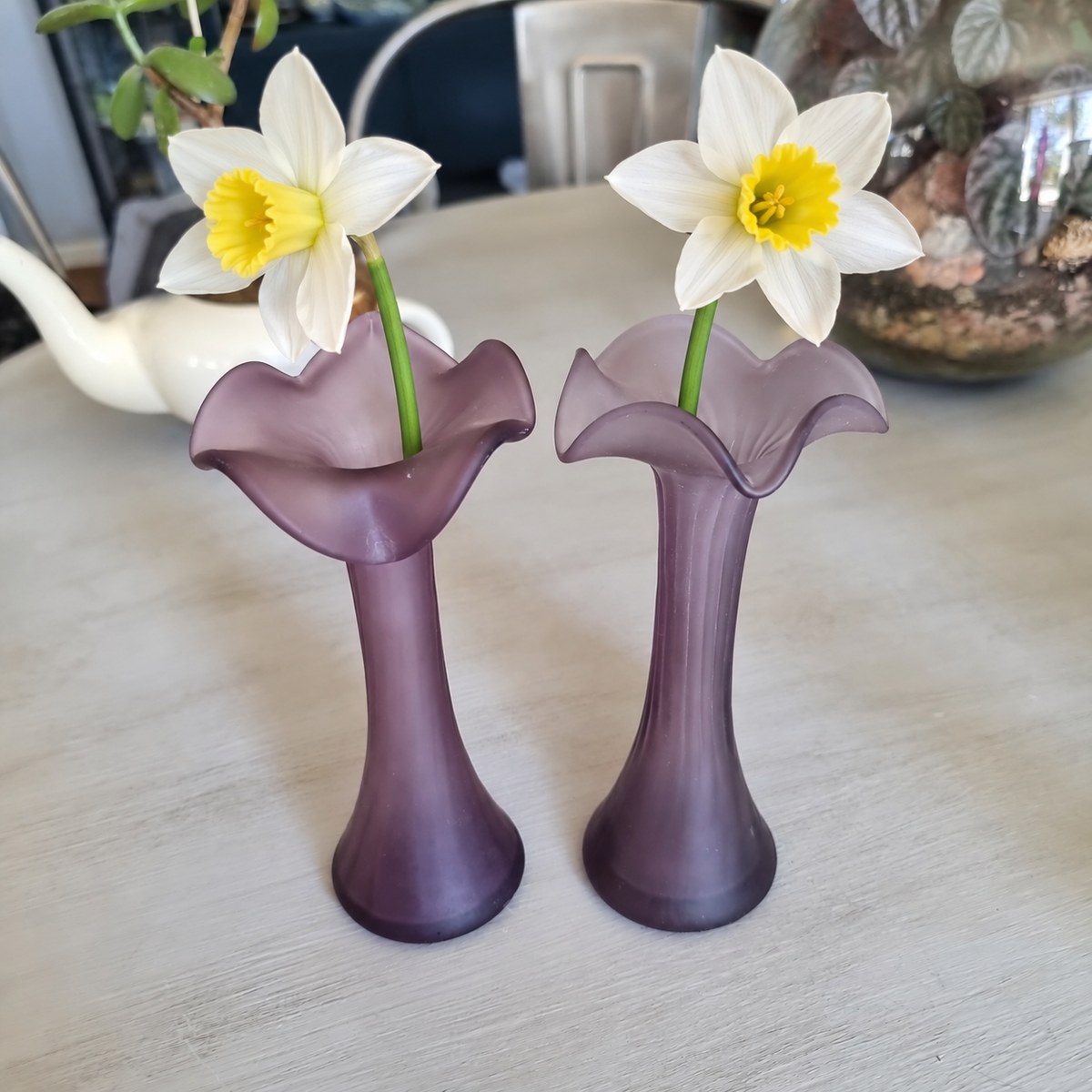 Pair of vintage purple frosted glass jack-in-the-pulpit vases, each holding a white and yellow daffodil