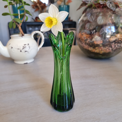 Vintage deep green swung glass vase holding a single white daffodil